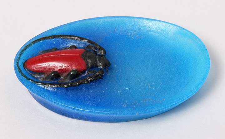A. Walter, Beetle tray